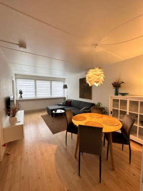 Privat one bedroom apartment with free parking Odense C